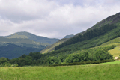 images/thumbs/DSC0581.gif