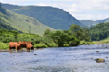 images/thumbs/DSC0590.gif