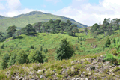 images/thumbs/DSC0619.gif