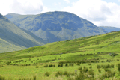 images/thumbs/DSC0621.gif