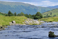 images/thumbs/DSC0634.gif