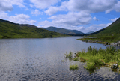 images/thumbs/DSC0637.gif