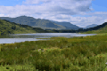 images/thumbs/DSC0642.gif