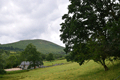 images/thumbs/DSC1258.gif