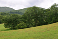images/thumbs/DSC1260.gif