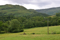 images/thumbs/DSC1261.gif