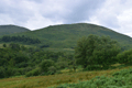 images/thumbs/DSC1265.gif