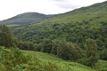 images/thumbs/DSC1272.gif