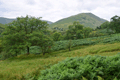 images/thumbs/DSC1276.gif