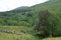 images/thumbs/DSC1277.gif