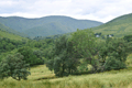 images/thumbs/DSC1279.gif