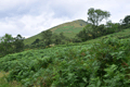 images/thumbs/DSC1280.gif