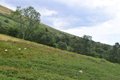 images/thumbs/DSC1281.gif