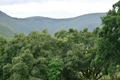 images/thumbs/DSC1288.gif