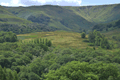images/thumbs/DSC1293.gif
