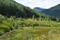 images/thumbs/DSC1344.gif