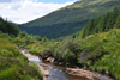 images/thumbs/DSC1345.gif