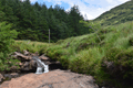images/thumbs/DSC1347.gif