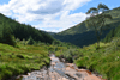 images/thumbs/DSC1348.gif