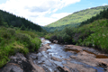 images/thumbs/DSC1352.gif