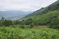 images/thumbs/DSC_0987.gif