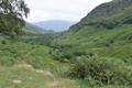 images/thumbs/DSC_0991.gif
