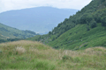 images/thumbs/DSC_1001.gif