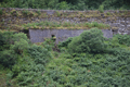 images/thumbs/DSC_1005.gif