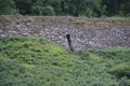 images/thumbs/DSC_1006.gif