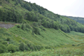 images/thumbs/DSC_1007.gif