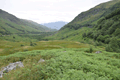 images/thumbs/DSC_1008.gif