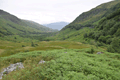 images/thumbs/DSC_1013.gif