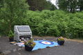 images/thumbs/DSC_1031.gif