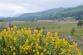 images/thumbs/DSC_1035.gif