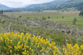images/thumbs/DSC_1037.gif