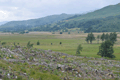 images/thumbs/DSC_1039.gif