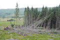 images/thumbs/DSC_1040.gif
