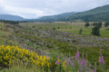 images/thumbs/DSC_1042.gif