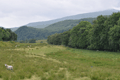 images/thumbs/DSC_1048.gif