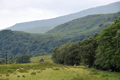 images/thumbs/DSC_1049.gif