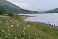 images/thumbs/DSC_1059.gif