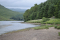 images/thumbs/DSC_1060.gif