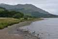 images/thumbs/DSC_1064.gif