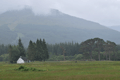 images/thumbs/DSC_1116.gif
