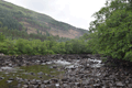 images/thumbs/DSC_1118.gif