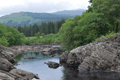 images/thumbs/DSC_1136.gif