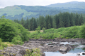 images/thumbs/DSC_1152.gif