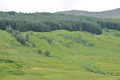 images/thumbs/DSC_1162.gif