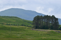 images/thumbs/DSC_1165.gif