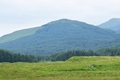images/thumbs/DSC_1166.gif